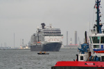 EURODAM-2008.JPG.JPG