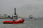 SD SHARK-2008.JPG.JPG