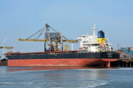 ANTONIA S-2014_1.JPG.JPG