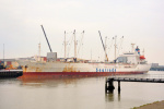 BAY PHOENIX-1993.jpg.JPG