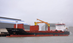 BULKER BEE 11-2011.JPG.JPG