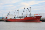 FRIO KYKNOS-1993.JPG.JPG