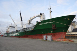 GREEN AUSTEVOLL-1991.JPG.JPG