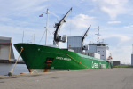 GREEN BERGEN-1998.JPG.JPG