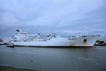 GREEN BRAZIL-1994.JPG.JPG