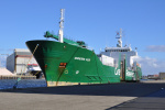 GREEN ICE-1985.JPG.JPG