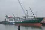 GREEN MAVERIC-1993.JPG.JPG