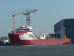 APURA DIAMANTE-b.JPG.JPG