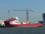 APURA DIAMANTE-c.JPG.JPG