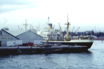 BAWEAN-1953.jpg.JPG