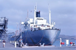 GOEREE-1963.jpg.JPG