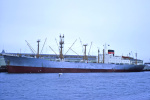 KATENDRECHT-1961.jpg.JPG