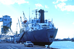 KATENDRECHT-1977.jpg.JPG