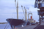 LUSTAR-1968.jpg.JPG