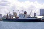 NEDLLOYD AUCKLAND-1968.jpg.JPG