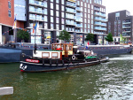 590.JPG